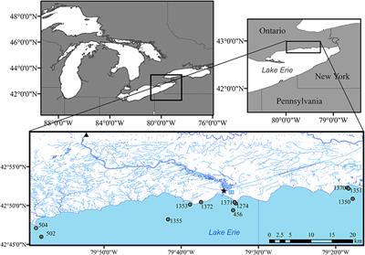 Phosphorus Dynamics and Availability in the Nearshore of Eastern Lake Erie: Insights From Oxygen Isotope Ratios of Phosphate